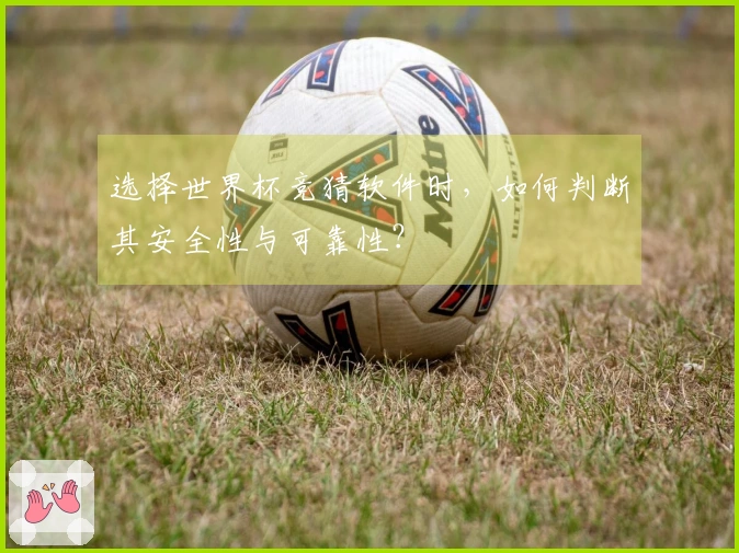 选择世界杯竞猜软件时，如何判断其安全性与可靠性？