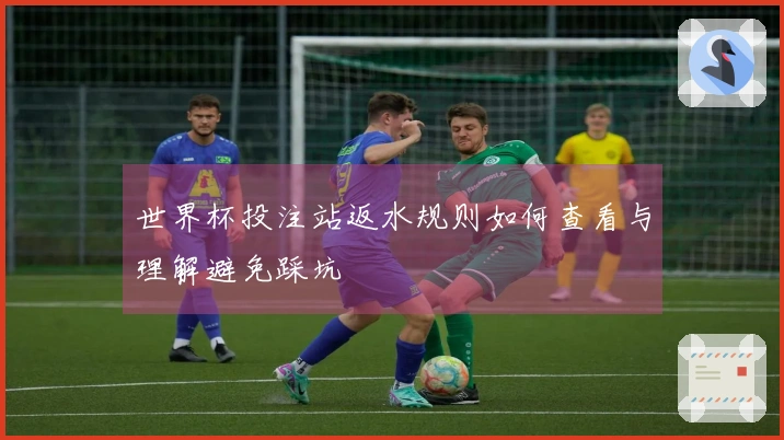 世界杯投注站返水规则如何查看与理解避免踩坑