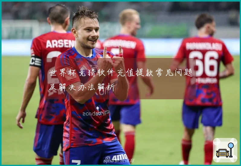 世界杯竞猜软件充值提款常见问题及解决办法解析