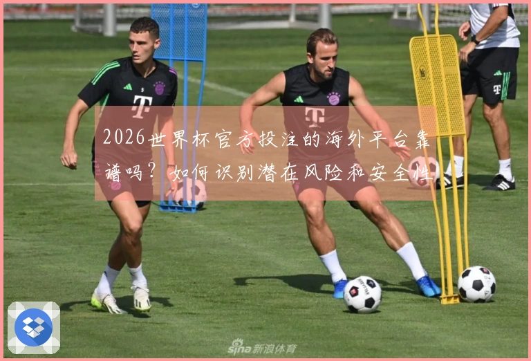 2026世界杯官方投注的海外平台靠谱吗？如何识别潜在风险和安全性问题