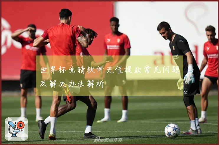 世界杯竞猜软件充值提款常见问题及解决办法解析